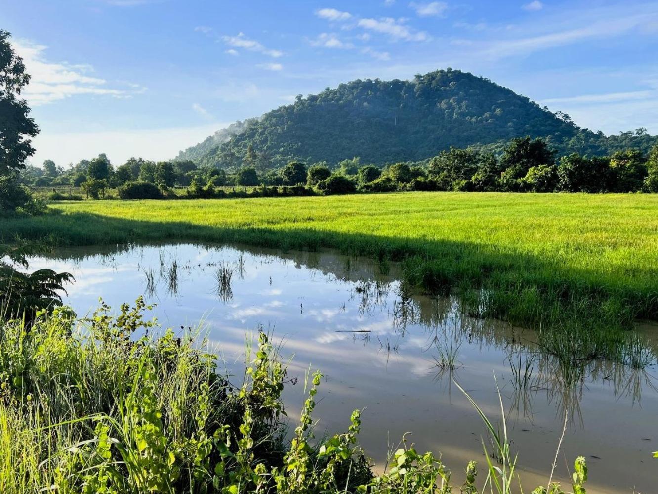 The Little Vegan Homestay Phumi Banteay Srei Bagian luar foto
